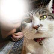 ヒメ日記 2025/07/31 21:08 投稿 あすか 千葉松戸ちゃんこ