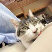 ヒメ日記 2025/10/21 08:15 投稿 あすか 千葉松戸ちゃんこ