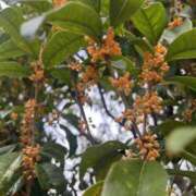 ヒメ日記 2025/10/27 22:53 投稿 あすか 千葉松戸ちゃんこ