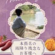 ヒメ日記 2025/11/08 01:31 投稿 あすか 千葉松戸ちゃんこ