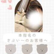 ヒメ日記 2025/11/13 02:10 投稿 あすか 千葉松戸ちゃんこ