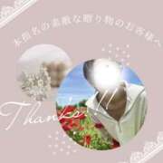 ヒメ日記 2025/11/15 08:55 投稿 あすか 千葉松戸ちゃんこ