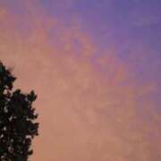 ヒメ日記 2025/11/25 15:28 投稿 あすか 千葉松戸ちゃんこ