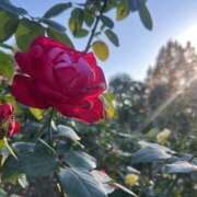 あすか 志木DAY 千葉松戸ちゃんこ