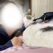 ヒメ日記 2025/12/18 13:33 投稿 あすか 千葉松戸ちゃんこ