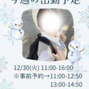 あすか 今週の出勤予定 千葉松戸ちゃんこ