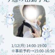 ヒメ日記 2026/01/12 07:04 投稿 あすか 千葉松戸ちゃんこ