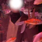 ヒメ日記 2026/01/20 08:19 投稿 あすか 千葉松戸ちゃんこ