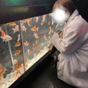 ヒメ日記 2026/01/23 16:13 投稿 あすか 千葉松戸ちゃんこ