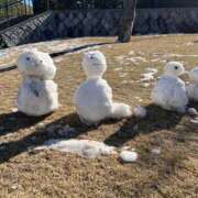 ヒメ日記 2026/02/06 07:57 投稿 あすか 千葉松戸ちゃんこ