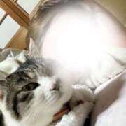 ヒメ日記 2026/02/16 07:42 投稿 あすか 千葉松戸ちゃんこ