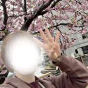 ヒメ日記 2026/02/26 11:40 投稿 あすか 千葉松戸ちゃんこ