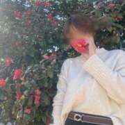 ヒメ日記 2026/02/28 17:00 投稿 あすか 千葉松戸ちゃんこ