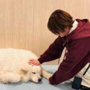 ヒメ日記 2026/03/08 20:44 投稿 あすか 千葉松戸ちゃんこ