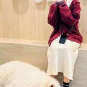 ヒメ日記 2026/03/09 13:11 投稿 あすか 千葉松戸ちゃんこ