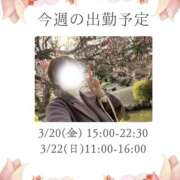 ヒメ日記 2026/03/16 13:26 投稿 あすか 千葉松戸ちゃんこ