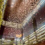 ヒメ日記 2026/04/05 10:47 投稿 あすか 千葉松戸ちゃんこ