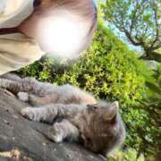 ヒメ日記 2026/04/12 17:31 投稿 あすか 千葉松戸ちゃんこ