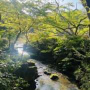 ヒメ日記 2026/04/13 11:49 投稿 あすか 千葉松戸ちゃんこ