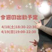 ヒメ日記 2026/04/14 20:31 投稿 あすか 千葉松戸ちゃんこ