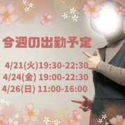 ヒメ日記 2026/04/20 08:08 投稿 あすか 千葉松戸ちゃんこ