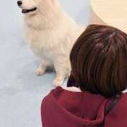 ヒメ日記 2026/04/24 18:24 投稿 あすか 千葉松戸ちゃんこ