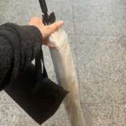 ヒメ日記 2026/04/27 12:28 投稿 あすか 千葉松戸ちゃんこ