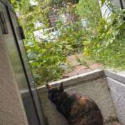 ヒメ日記 2025/07/01 08:40 投稿 えあ THE ESUTE 五反田店