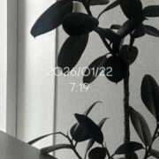 ヒメ日記 2026/01/22 10:00 投稿 えあ THE ESUTE 五反田店