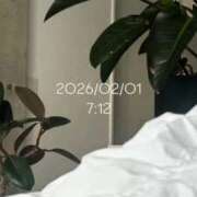 ヒメ日記 2026/02/01 08:10 投稿 えあ THE ESUTE 五反田店