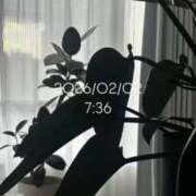 ヒメ日記 2026/02/02 08:20 投稿 えあ THE ESUTE 五反田店