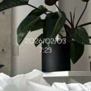 ヒメ日記 2026/02/03 08:00 投稿 えあ THE ESUTE 五反田店