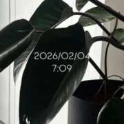 ヒメ日記 2026/02/04 08:10 投稿 えあ THE ESUTE 五反田店