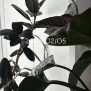 ヒメ日記 2026/02/05 08:10 投稿 えあ THE ESUTE 五反田店