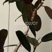 ヒメ日記 2026/02/07 08:00 投稿 えあ THE ESUTE 五反田店