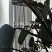 ヒメ日記 2026/02/08 08:20 投稿 えあ THE ESUTE 五反田店