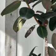 ヒメ日記 2026/02/11 08:20 投稿 えあ THE ESUTE 五反田店