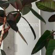 ヒメ日記 2026/02/12 08:20 投稿 えあ THE ESUTE 五反田店