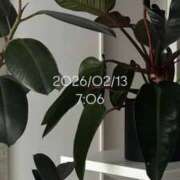 ヒメ日記 2026/02/13 08:10 投稿 えあ THE ESUTE 五反田店