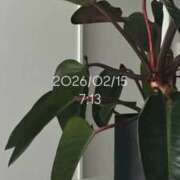 ヒメ日記 2026/02/15 08:00 投稿 えあ THE ESUTE 五反田店