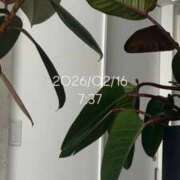 ヒメ日記 2026/02/16 08:10 投稿 えあ THE ESUTE 五反田店