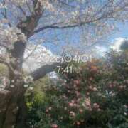 ヒメ日記 2026/04/01 08:21 投稿 えあ THE ESUTE 五反田店