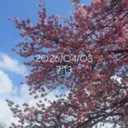 ヒメ日記 2026/04/03 08:20 投稿 えあ THE ESUTE 五反田店