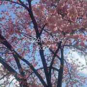 ヒメ日記 2026/04/04 08:40 投稿 えあ THE ESUTE 五反田店