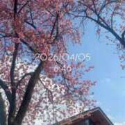 ヒメ日記 2026/04/05 08:20 投稿 えあ THE ESUTE 五反田店