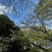 ヒメ日記 2026/04/09 08:20 投稿 えあ THE ESUTE 五反田店
