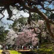 ヒメ日記 2026/04/10 08:20 投稿 えあ THE ESUTE 五反田店