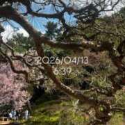 ヒメ日記 2026/04/13 08:20 投稿 えあ THE ESUTE 五反田店