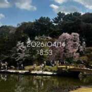 ヒメ日記 2026/04/14 12:34 投稿 えあ THE ESUTE 五反田店