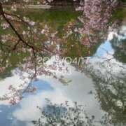 ヒメ日記 2026/04/17 08:20 投稿 えあ THE ESUTE 五反田店